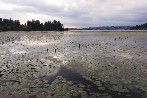 istock Sunset on Lake Washington, Seattle, USA 1221992287