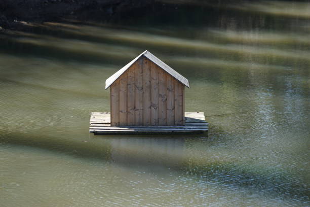 istock Ducks house floating on the pond 1221992962