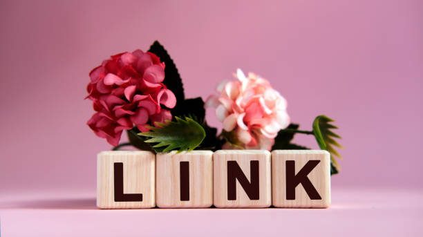 istock Link text on wooden cubes on a pink background with flowers 1221997069