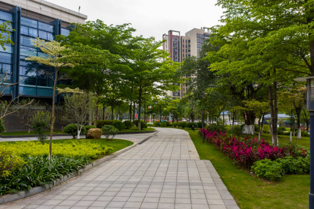istock The path in front of the office building 1222002200