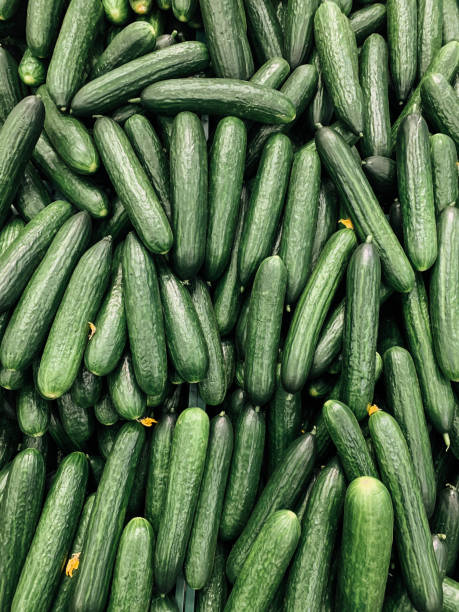 배경을 요리잘 익은 녹색 오이 야채의 제비 - green bell pepper cucumber green pea isolated 뉴스 사진 이미지