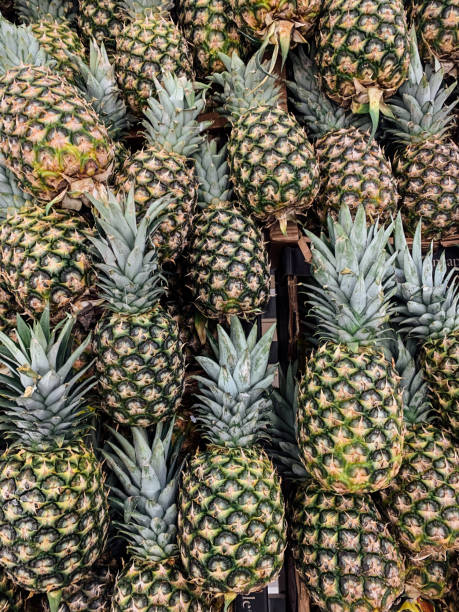 istock lots of ripe pineapples for cooking as a background 1222003664