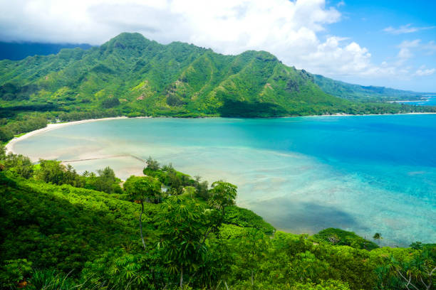 istock Most beautiful bay of Hawaii 1222004823