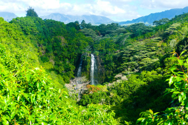 istock Waterfall in the jungle of Hawaii 1222004896
