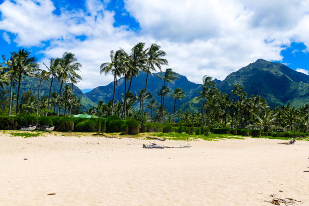 Hawaii is the paradise on earth Hanalei Bay on Kauai, Hawaii hanalei bay stock pictures, royalty-free photos & images
