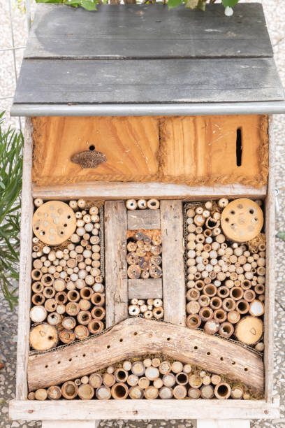 istock Insect hotel with tole roof and different compartments 1222005720