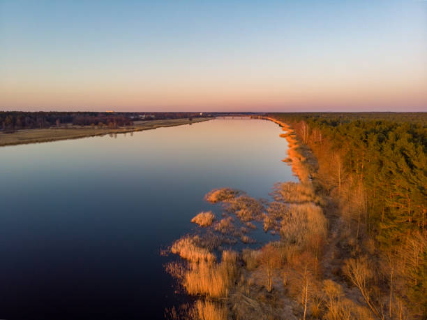 istock River Lielupe Counyryside view in sunset near shoreline with beautiful pine tree forest. 1222005741
