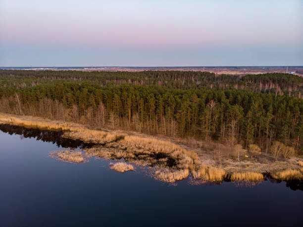 istock Areal drone view of small river near pine tree forest. 1222005793