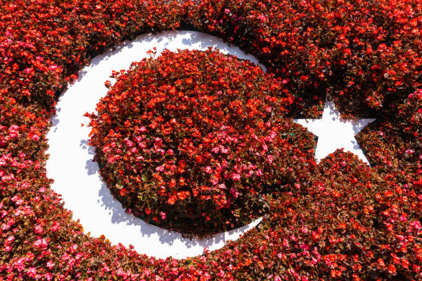 Turkish flag made of red flowers.