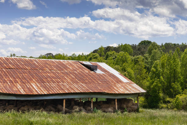 Old abandoned house Ashland Virginia
