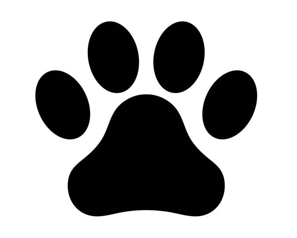 ilustraciones, imágenes clip art, dibujos animados e iconos de stock de ilustración vectorial monocroma de patas - dedo del pie animal
