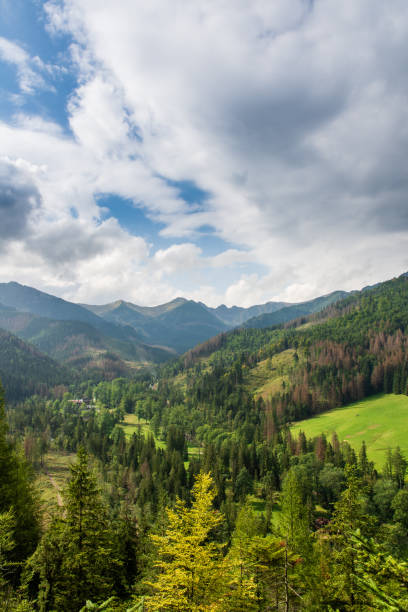 istock Mountains covered with beautiful green forests. Polish Tatras 1222009786