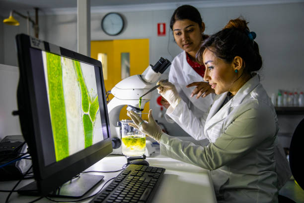 mujeres en la ciencia - microscope laboratory science research fotografías e imágenes de stock