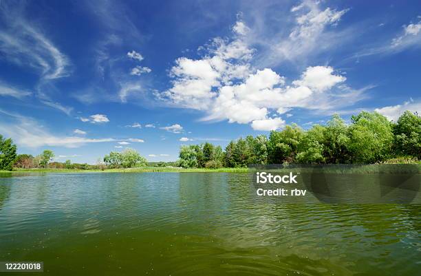 Jezioro Leśne - zdjęcia stockowe i więcej obrazów Bez ludzi - Bez ludzi, Bezchmurne niebo, Brzeg wody