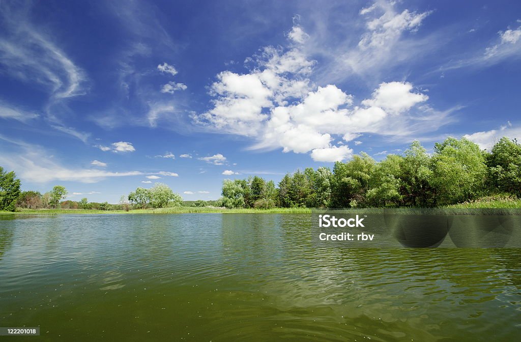 Forest lake - Foto de stock de Azul royalty-free