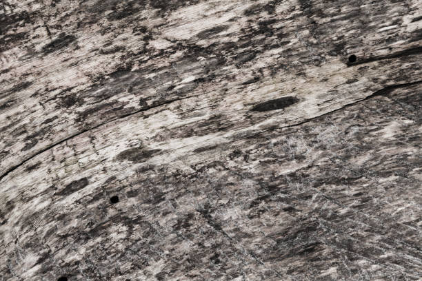 istock Old weathered gray wooden board close-up 1222012096