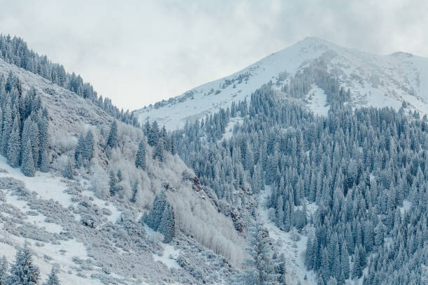 istock Early morning winter mountain landscape 1222012913