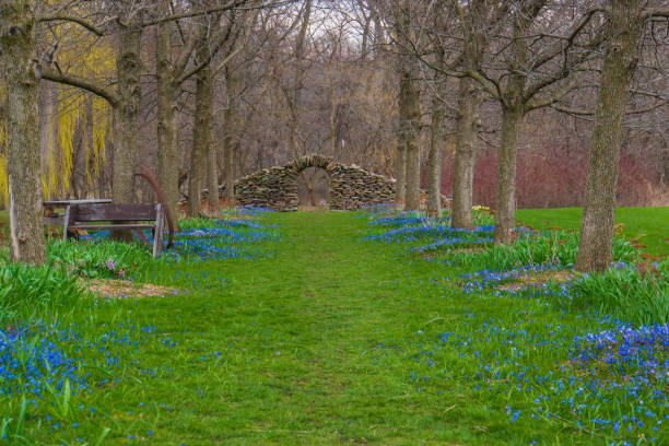 hand made stone wall with arch - daffodil spring flower new england imagens e fotografias de stock