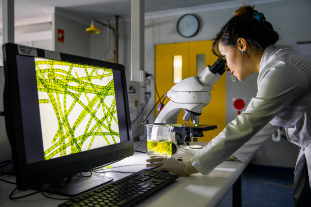 ricerca scientifica - research science and technology working biology foto e immagini stock