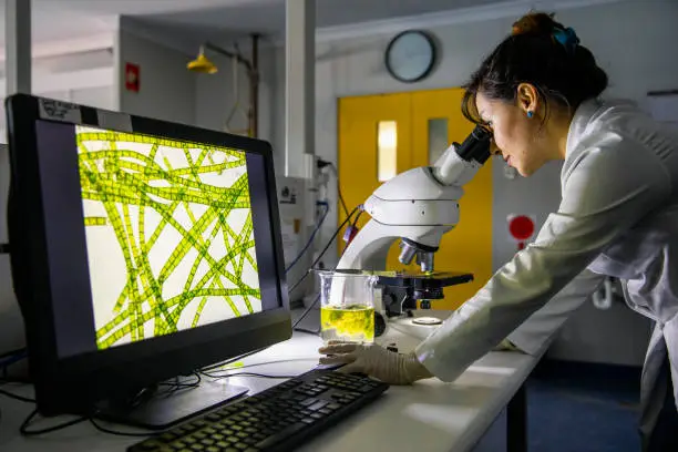 A side-view shot of a female scientist looking through a microscope to analyse her findings in Perth, Australia.
