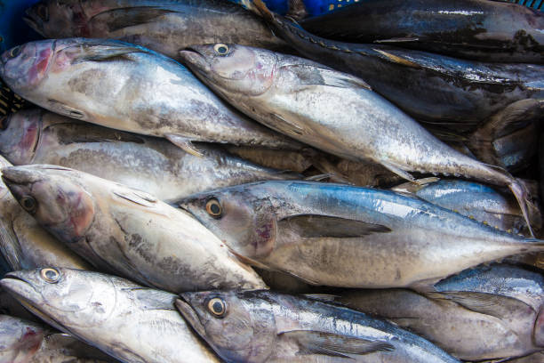 istock fresh fish at the market 1222015065
