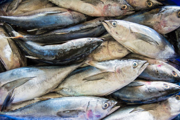 istock fresh fish at the market 1222015090