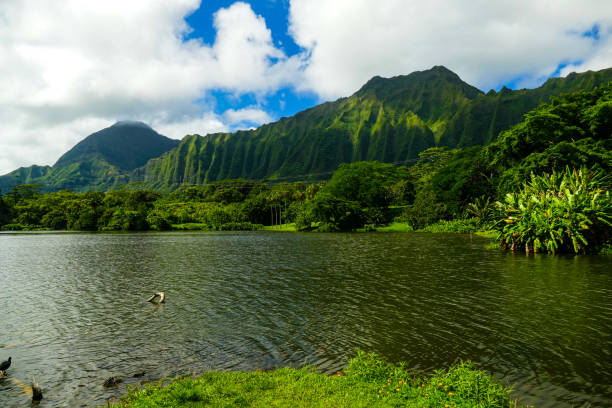 istock Paradise garden on Hawaii 1222015266
