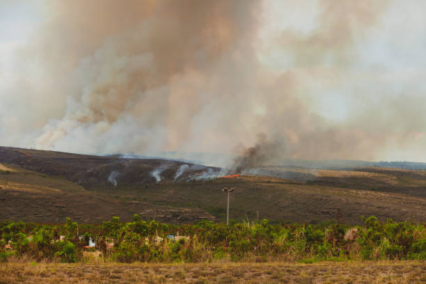 waimea canyon on fire - waimea canyon state park imagens e fotografias de stock