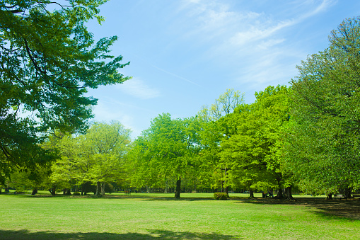 Sunny park