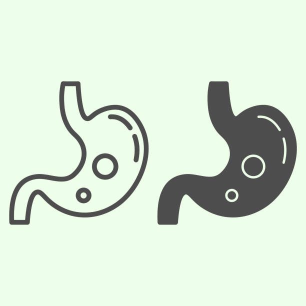 Stomach line and solid icon. Human organ stomach with gas bubbles outline style pictogram on white background. Science and anatomy signs for mobile concept and web design. Vector graphics. Stomach line and solid icon. Human organ stomach with gas bubbles outline style pictogram on white background. Science and anatomy signs for mobile concept and web design. Vector graphics human digestive system illustrations stock illustrations