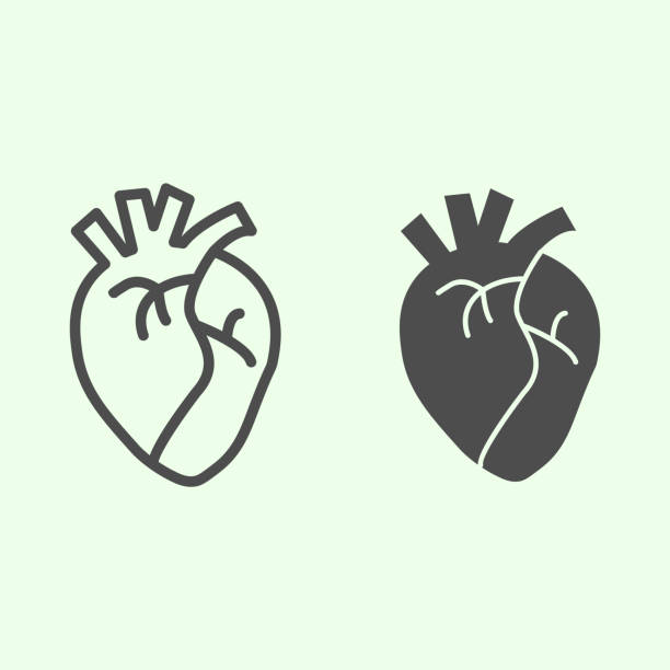 ilustrações de stock, clip art, desenhos animados e ícones de heart organ line and solid icon. realistic human heart outline style pictogram on white background. anatomy and organs signs for mobile concept and web design. vector graphics. - pulse trace human heart heart shape healthcare and medicine