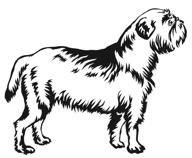 Vector illustration of Decorative standing portrait of dog Griffon Belge vector illustration