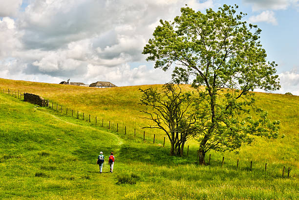 Free Stock Photo of Two People Walking Across a Grass Covered Field ...