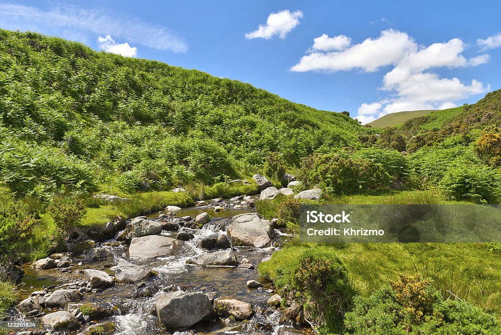 Lake District mountain stream - Lizenzfrei Adlerfarn Stock-Foto