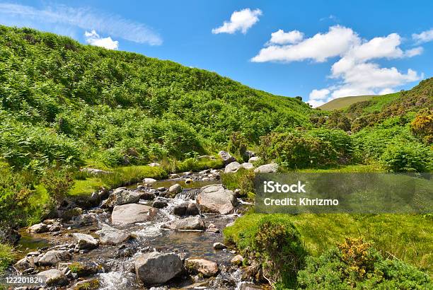 Lake District Mountain Stream Stockfoto und mehr Bilder von Adlerfarn - Adlerfarn, Bach, Berg