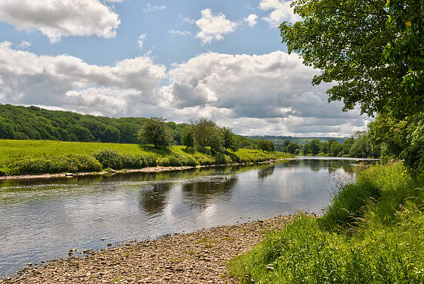 rio ribble panorâmica - ribble - fotografias e filmes do acervo