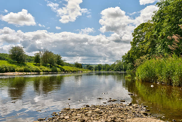 ribble malerischen fluss - ribble stock-fotos und bilder