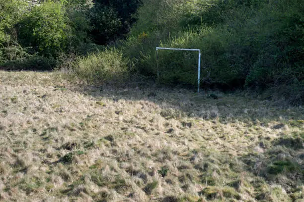Overgrown grass football pitch with goal posts filled by bushes