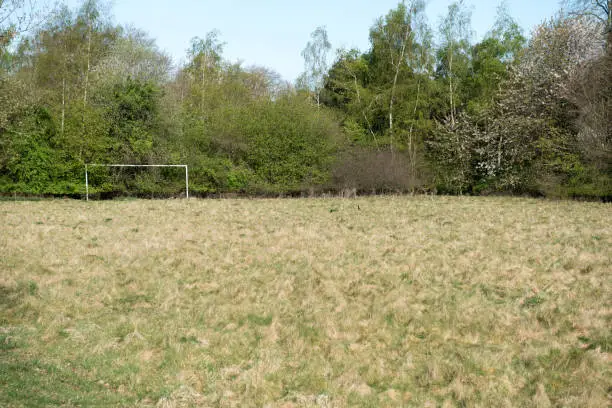 Overgrown grass field with football goal posts and trees in the background