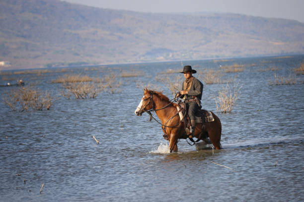 A grey horse jumping out of the water during a cross-country race