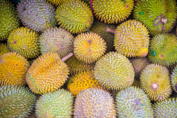 istock group of fresh durian background 1222022202