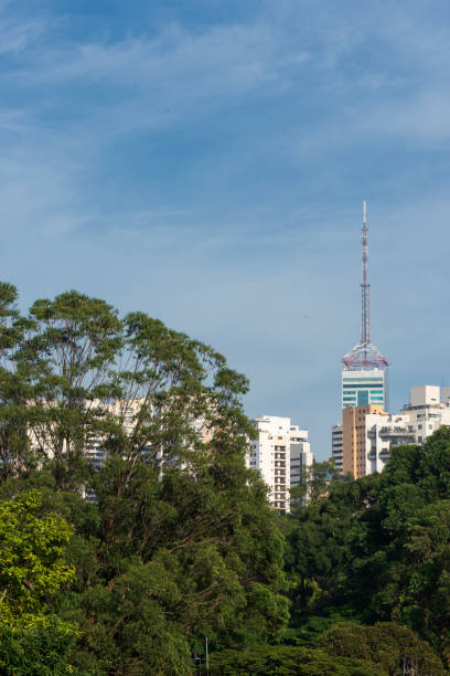 istock Sao Paulo, Brazil 1222023910