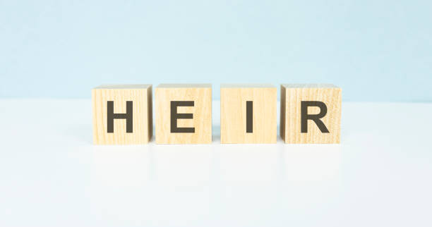istock HEIR word made with building blocks on a black table 1222026451