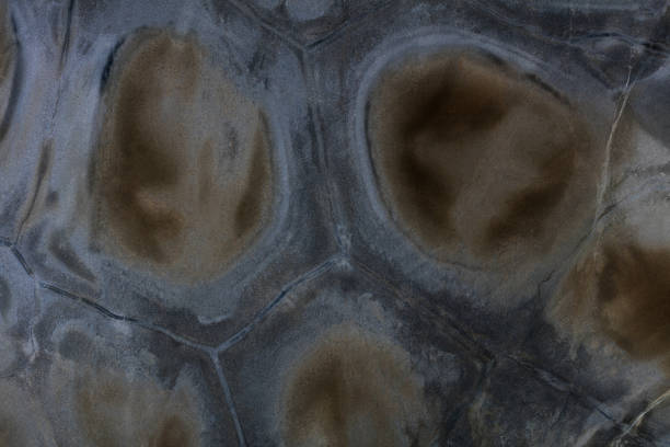 istock Contrast quartzite background for your new expensive design work. High quality texture. 1222026790
