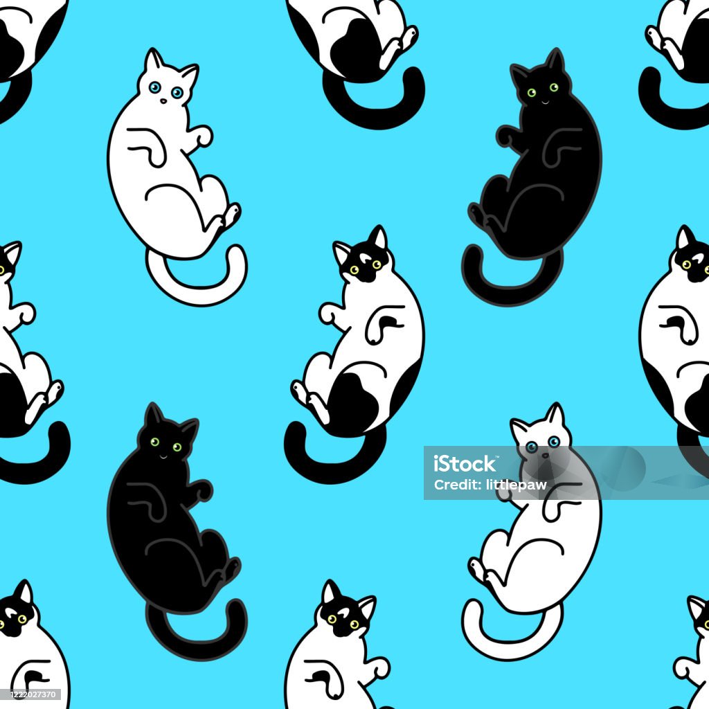 귀여운 흑백 고양이와 원활한 패턴 배경 화면 문구류 직물 랩 웹 페이지 배경 벡터 일러스트레이션에 대한 텍스처 검은색에 대한 스톡 벡터  아트 및 기타 이미지 - Istock