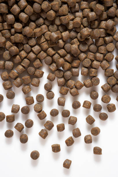 Extruded Fish Feed Extruded Fish Feed fish food stock pictures, royalty-free photos & images