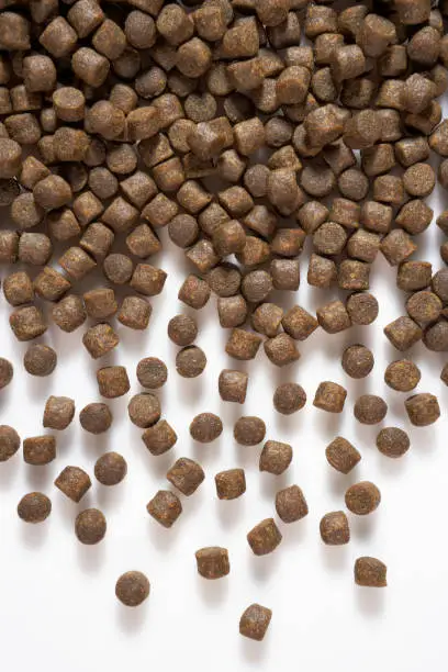 Photo of Extruded Fish Feed