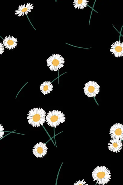 Vector illustration of Bright summer background. Seamless pattern made of meadow daisies. Scattered flowers.