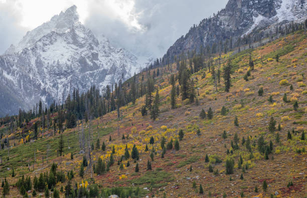 istock Scenic Autumn Landscape in the Tetons 1222032772