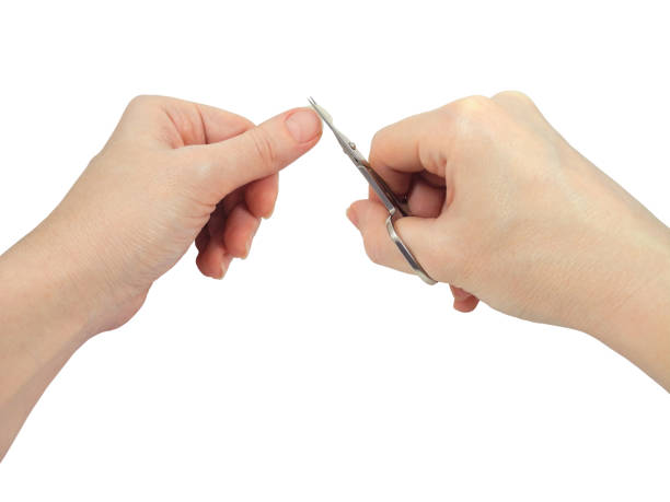 istock Female hands cut nail isolated 1222035158